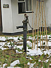 bambers green