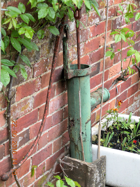 iwerne courtney shroton