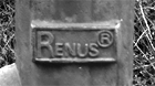 renus