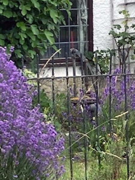 stanton harcourt
